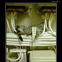���� ������, �����-���������, 50 ��� - ��������� 2 ������ 2015 � ������ ���� ����������