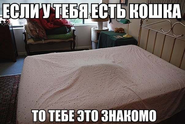  -  - 1  2015  05:20