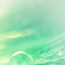  Bagira,  ( /) -  25  2015    