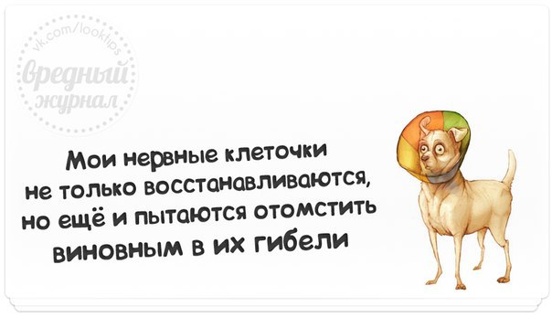 ———–.Если вы приехали из командировки, а квартира чисто прибрана, дети делают уроки, жена готовит, ...