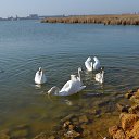 ���� ������, ���������, 42 ���� - ��������� 24 ������ 2015 � ������ �XXX�