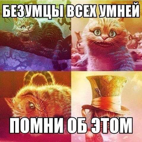 Magic the cookie - 20  2015  21:53