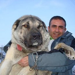 ���� ���������, ������, 47 ��� - ��������� 3 ������ 2015