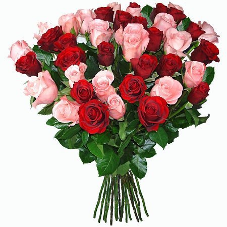 ������� ����, ����!