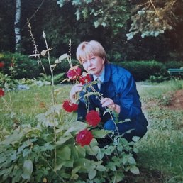 �������, ����, 62 ����