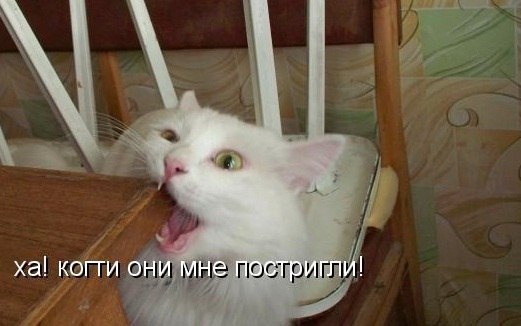       - 10  2015  18:04