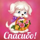 ���� Oleg, �����, 53 ���� - ��������� 2 ������ 2015 � ������ �������� ��������