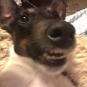 ���� ������, ����, 45 ��� - ��������� 21 ������� 2015