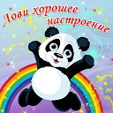 ���� D*1*m, ������ - ��������� 20 ������ 2015 � ������ �������� ��������