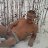���� Aleksander, ����, 56 ��� - ��������� 25 ������ 2015
