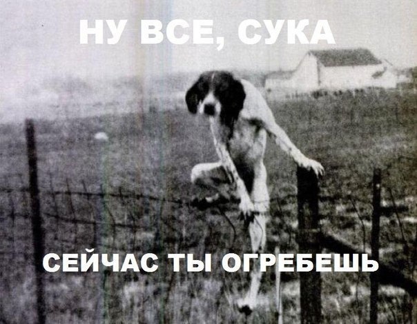   ,  : <a href=