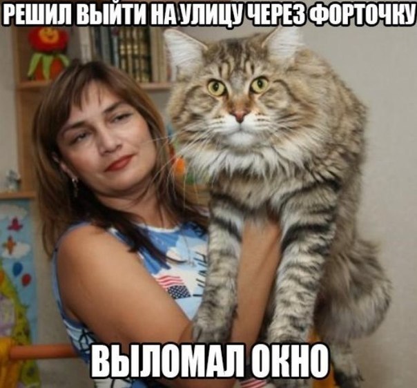   . - 4