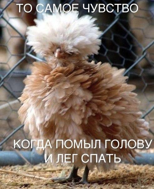   ,  : <a href=