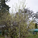 ���� ����, �������, 66 ��� - ��������� 22 ������ 2015 � ������ ������ 2015�