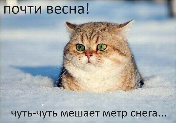       - 5  2015  14:01