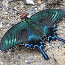 ���� ����, �����-���������, 59 ��� - ��������� 16 ������� 2015 � ������ ������ ��������