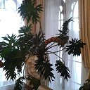 ���� Zinaida, ���� - ��������� 16 ����� 2015 � ������ ����������