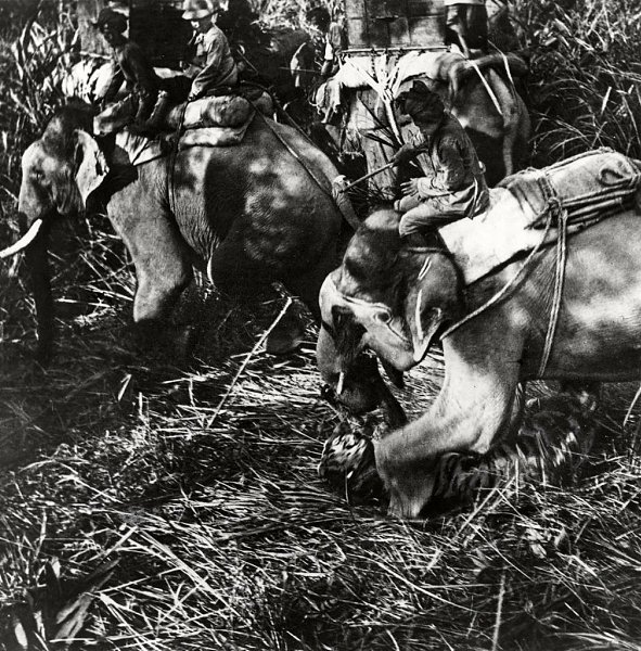 1937 год по восточному