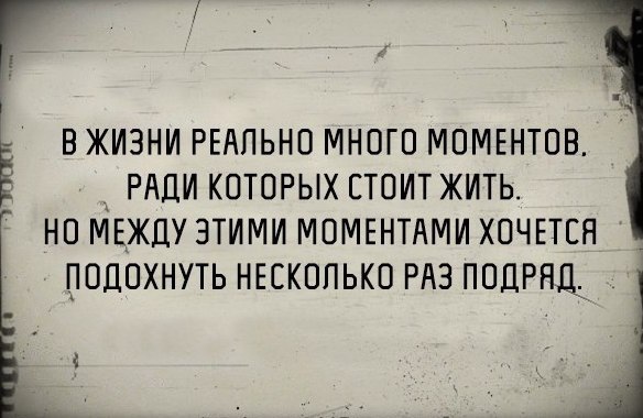 - 8  2015  21:59