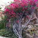 ���� ����, ������, 47 ��� - ��������� 21 ������� 2014 � ������ ������ ������� - ������ ������