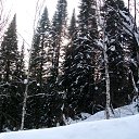 ���� �������� ���� ����������, ��������, 72 ���� - ��������� 5 ������� 2015 � ������ ���� ������� � ���� ������