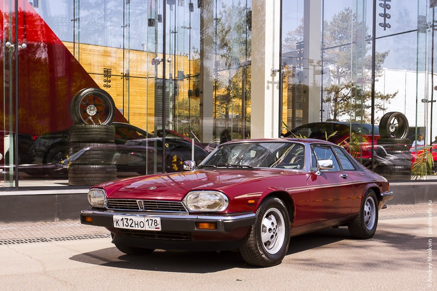 Jaguar XJS HE, 1983. : 260 /  100 /: 7.5  : ...