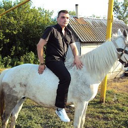 ���� ����, ������, 36 ��� - ��������� 8 ����� 2015