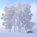 ���� �������(�� �������� ), ������� - ��������� 26 ������� 2014 � ������ ������ ��������