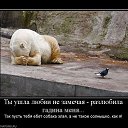 ���� ����, �����-���������, 36 ��� - ��������� 9 ������� 2015 � ������ ���� ����������
