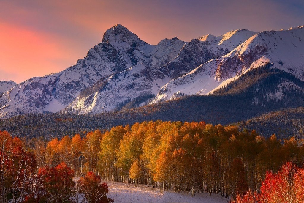     .   (Kevin McNeal),  . ...