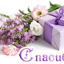 ���� �������, ������ ���, 70 ��� - ��������� 28 ������� 2015 � ������ �������� ��������