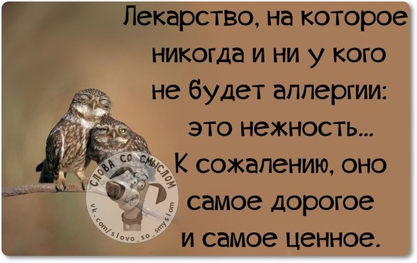  - 8  2015  21:04