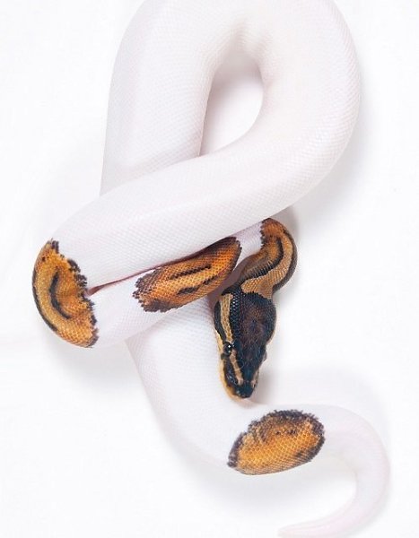   - 24  2015  14:45 - 3