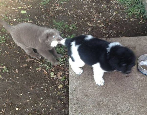   :3 - 10  2015  19:31