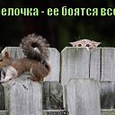 ���� ������, �������, 38 ��� - ��������� 22 ������� 2014 � ������ ���� ���� ������