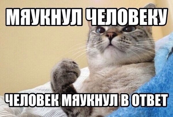    :-) - 1  2015  07:21