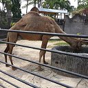  Mr.,  -  14  2015   THAILAND: PHUKET, PHI-PHI, BOND ISLAND...