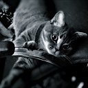 ���� ����, �����, 39 ��� - ��������� 9 ������� 2015 � ������ ������ ��������