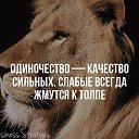  ,  -  9  2015    