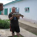  Slava, , 53  -  27  2015    