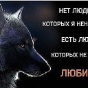 ���� ������, �����-���������, 50 ��� - ��������� 31 ������ 2015 � ������ ������ ��������