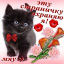 ���� ������., ������, 65 ��� - ��������� 22 ������ 2015 � ������ ���� ����������