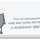 ���� �������, ���������� ����� - ��������� 8 ������ 2015 � ������ ������ ��������