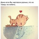  ,  -  19  2015    