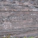 �������� ��������. �� ������� ���� ����������