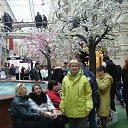 ���� ������, ��� - ��������� 10 ������� 2015 � ������ ���� ����������