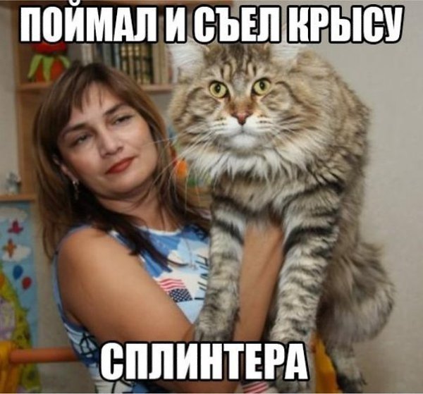 �� ����� ���������. - 6