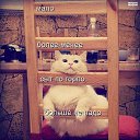 ���� �������, ������, 42 ���� - ��������� 22 ������� 2015 � ������ ���� ���� � �������