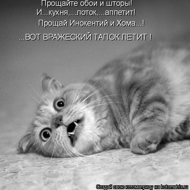 Vistalka - 25  2014  00:03