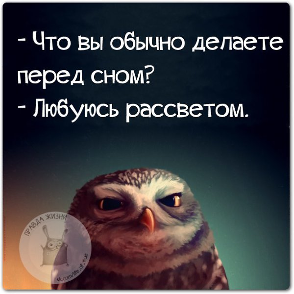   - 25  2015  15:11